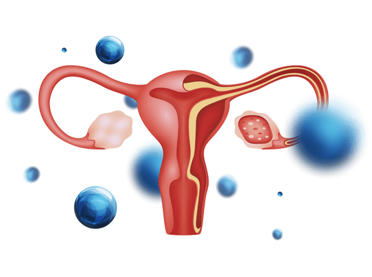 Illustration of a uterus surrounded by orbs