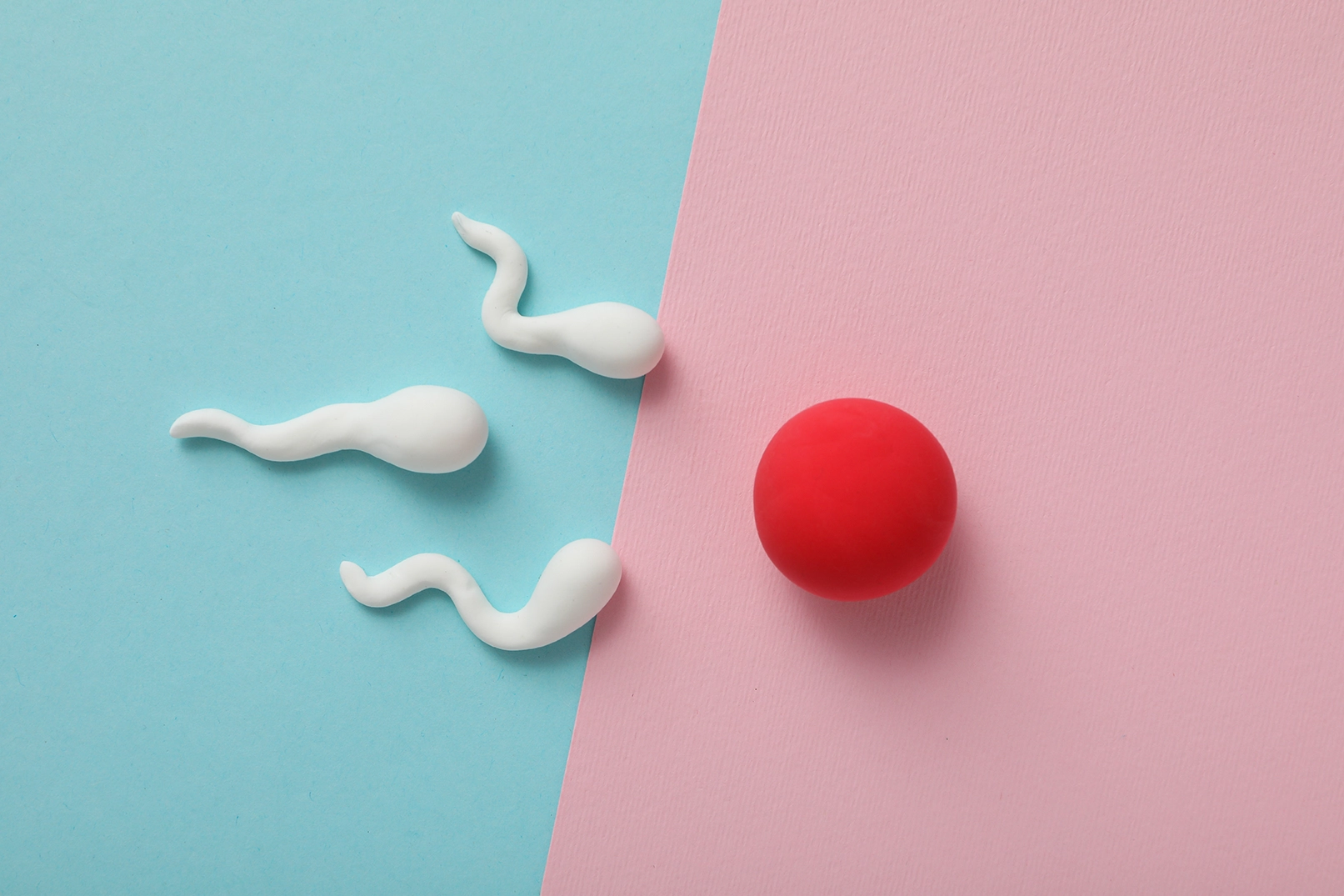 Conceptual image of a couple's fertility journey