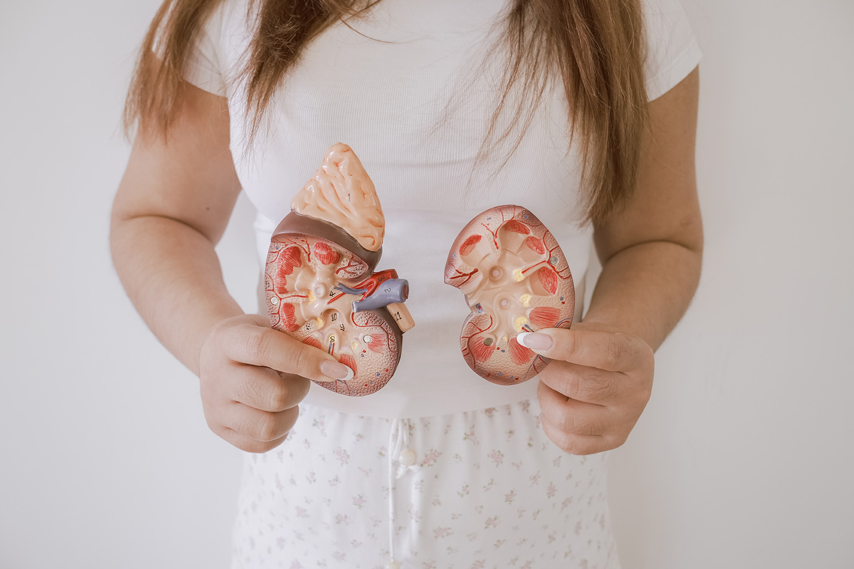 Woman holding kidney anatomy