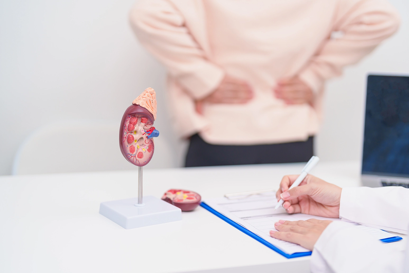 A patient consulting a specialist for kidney stone pain