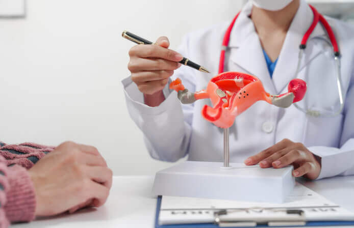 Fertility doctor pointing to the female reproductive system