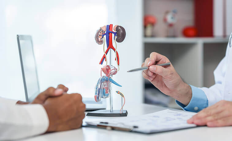 Male patient consultation with doctor regarding reproductive system