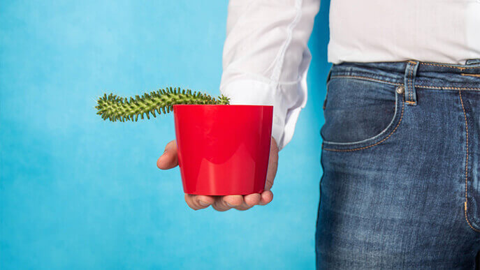Man holding a cactus, symbolizing struggles with erectile dysfunction