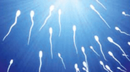 Improve Male Fertility