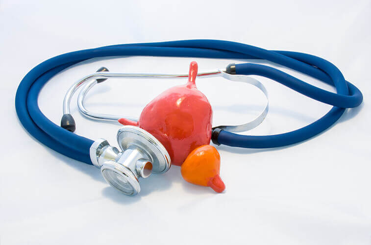 Stethoscope urine bladder