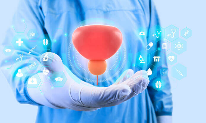 Study and analysis of the prostate