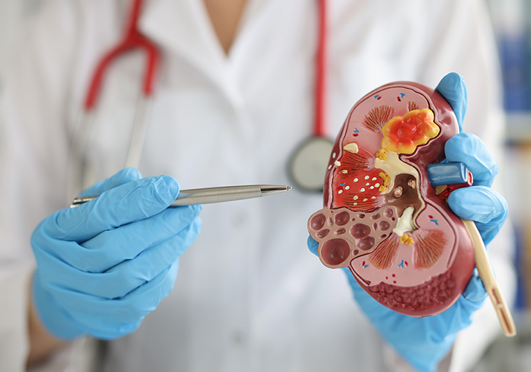 Undergoing Kidney Surgery